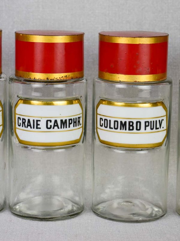 Collection of 6 French apothecary jars with porcelain labels - late 19th century For Sale