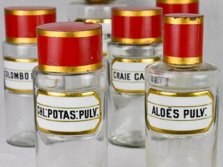 Collection of 6 French apothecary jars with porcelain labels - late 19th century For Sale