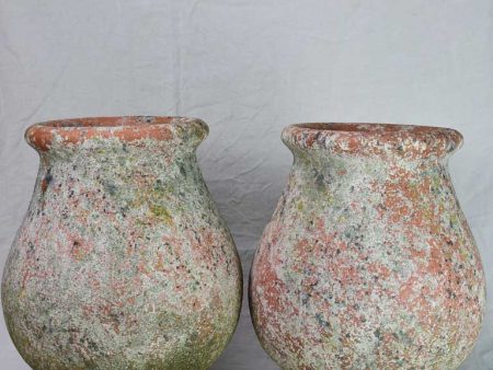 Pair of vintage terracotta pots from Albi 20  For Discount