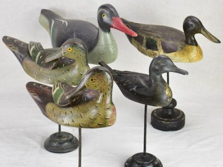 Collection of five hunting decoy ducks mounted on wooden blocks Online