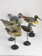 Collection of five hunting decoy ducks mounted on wooden blocks Online