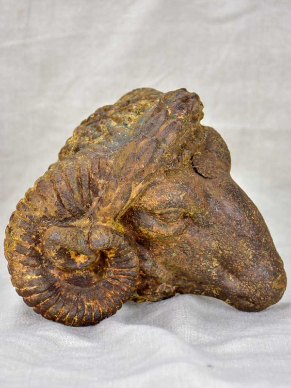 Rare 19th Century ram s head from a butcher Discount