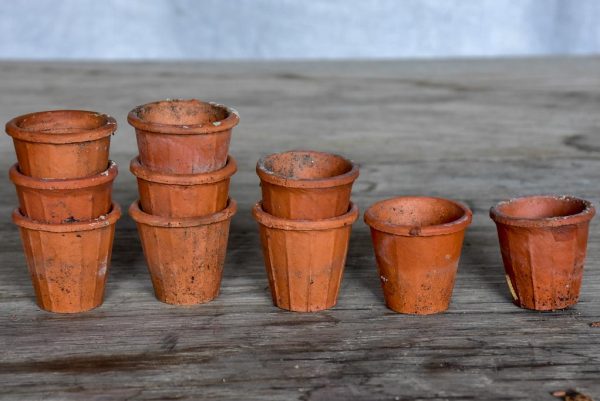 Collection of 12 miniature terracotta seed pots For Sale