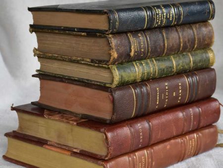 Mixed collection of six antique French leather bound books For Discount