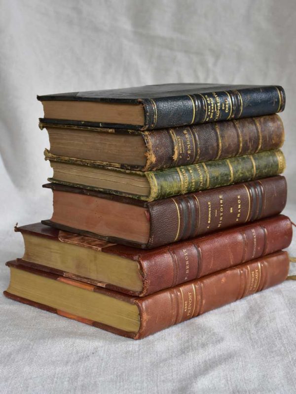 Mixed collection of six antique French leather bound books For Discount