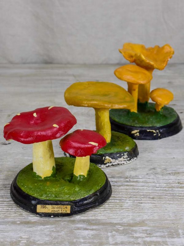 Collection of three antique French pharmacy mushrooms Online Hot Sale