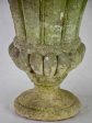 Early 20th-century French Medici shape stone planter 20  Online