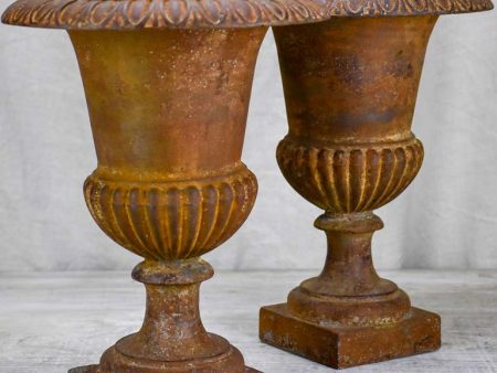 Pair of 19th Century cast iron Medici urns 13½  Supply