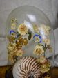 Napoleon III glass marriage dome Online Hot Sale