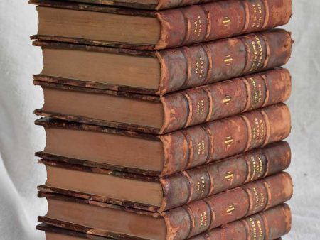 Collection of ten antique French leather bound books Online Hot Sale