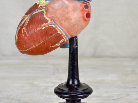 Antique French model of a heart on a black stand Cheap