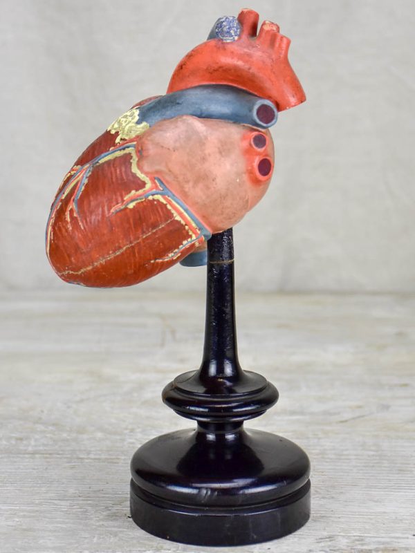 Antique French model of a heart on a black stand Cheap