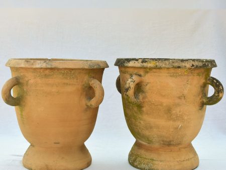 Large pair of terracotta Castelnaudary planters with four handles - 1940 s 20  For Sale