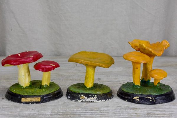 Collection of three antique French pharmacy mushrooms Online Hot Sale