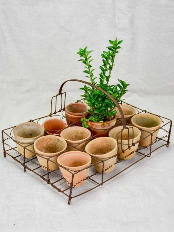 Collection of twelve small antique French terracotta pots 3¼  Fashion