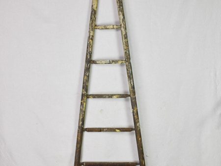 19th century French harvest ladder with broad base and narrow top 92¼  Online now