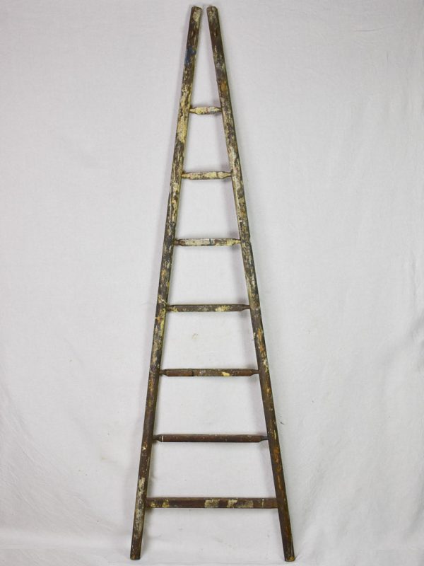 19th century French harvest ladder with broad base and narrow top 92¼  Online now