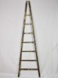 19th century French harvest ladder with broad base and narrow top 92¼  Online now