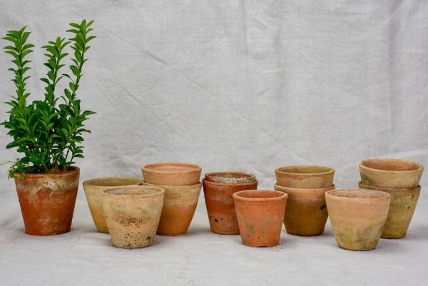 Collection of twelve small antique French terracotta pots 3¼  Fashion