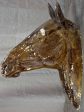 Large wall mounted French horse head For Sale