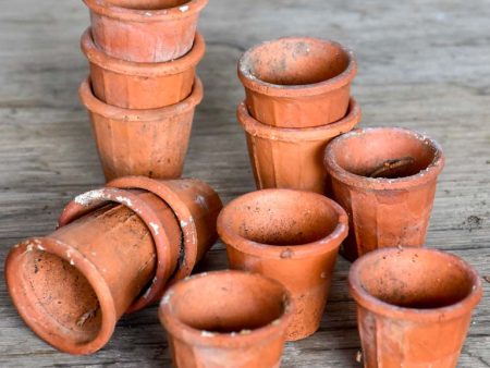 Collection of 12 miniature terracotta seed pots For Sale