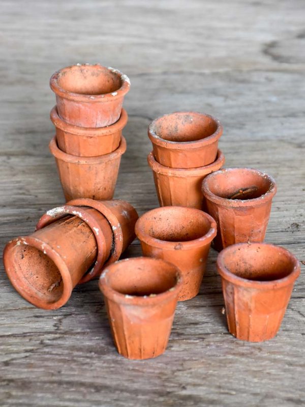 Collection of 12 miniature terracotta seed pots For Sale