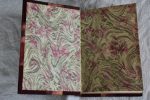 Collection of ten antique French leather bound books Online Hot Sale