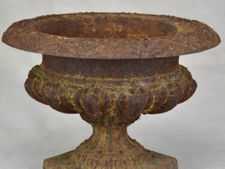 Nineteenth Century cast iron Medici urn 9½  Online Hot Sale