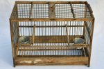 Early 20th century Italian birdcage Cheap