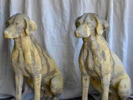 Pair of garden sculptures of dogs - 1950s on Sale