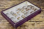 Antique French framed butterflies Online now