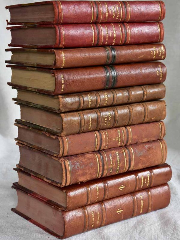 Mixed collection of ten antique French leather bound books Fashion