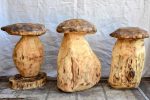 Collection of SEVEN artisan made garden stools - carved mushrooms   toadstools Fashion