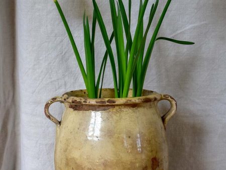 Large antique French confit pot with beige crackled glaze 9¾  Fashion