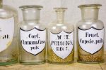 Collection of six 19th Century pharmacy jars - labelled with lids Fashion