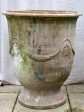 Very large early 19th Century Anduze urn - Boisset 33½  Supply