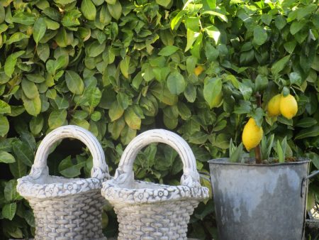 Pair of French garden basket planters For Cheap