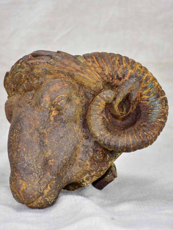 Rare 19th Century ram s head from a butcher Discount