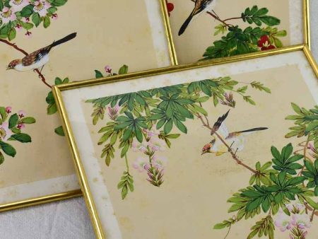 Three late 19th Century Japanese floral paintings on silk 15¼  x 13½  Cheap