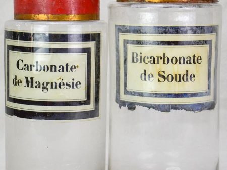 Two 19th Century apothecary glass jars Sale