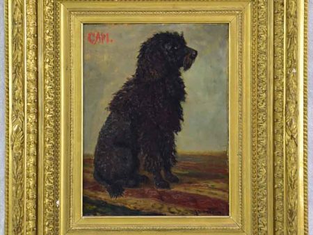 Portrait of a poodle named Capi -  Raymond Desvarreux (1876-1961) 17  x 14½  Online Sale