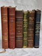 Mixed collection of six antique French leather bound books For Discount