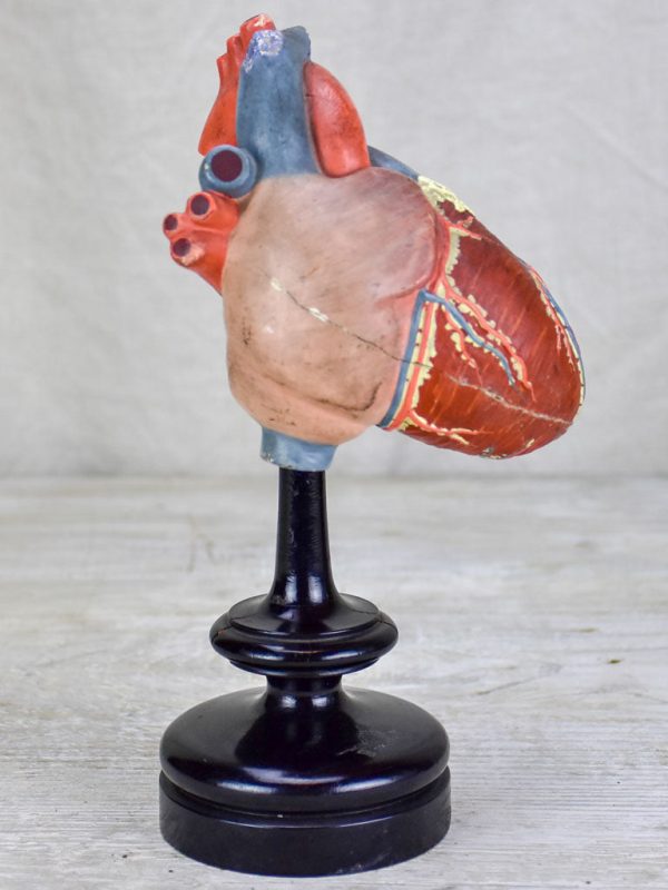 Antique French model of a heart in a Napoleon III marriage dome Online now