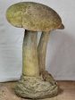 Early 20th Century French garden mushroom sculpture 31  For Cheap