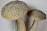 Early 20th Century French garden mushroom sculpture 31  For Cheap