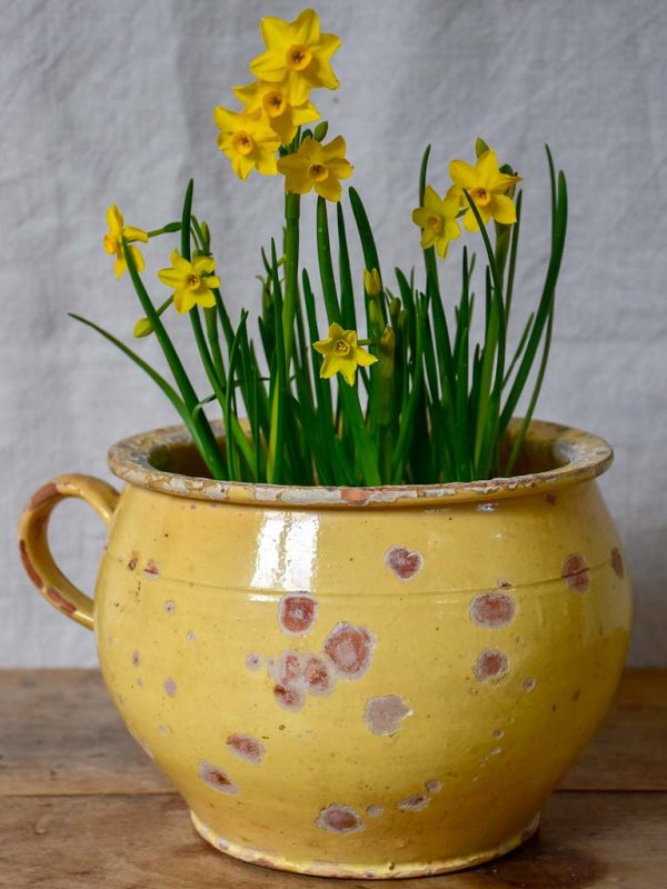 Antique French chamber pot with pale yellow glaze Discount