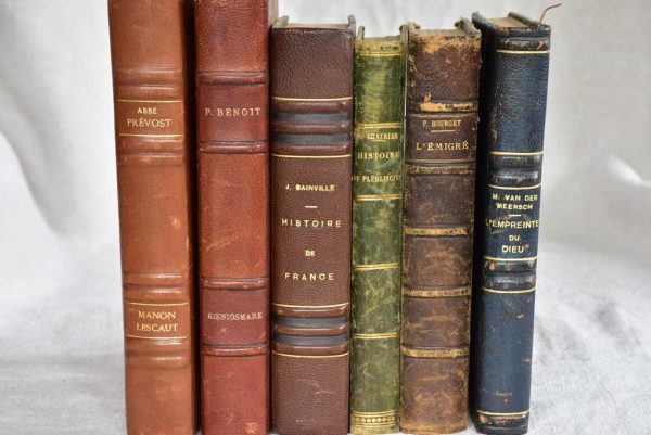 Mixed collection of six antique French leather bound books For Discount