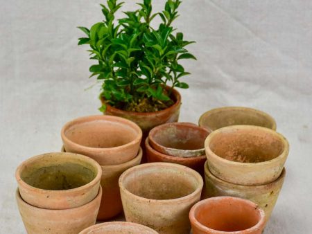 Collection of twelve small antique French terracotta pots 3¼  Fashion