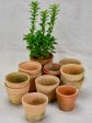 Collection of twelve small antique French terracotta pots 3¼  Fashion