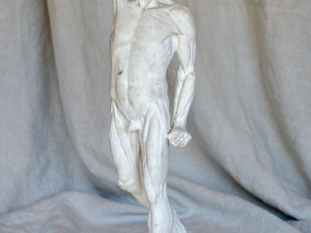 Antique French anatomical sculpture of a man in plaster For Discount